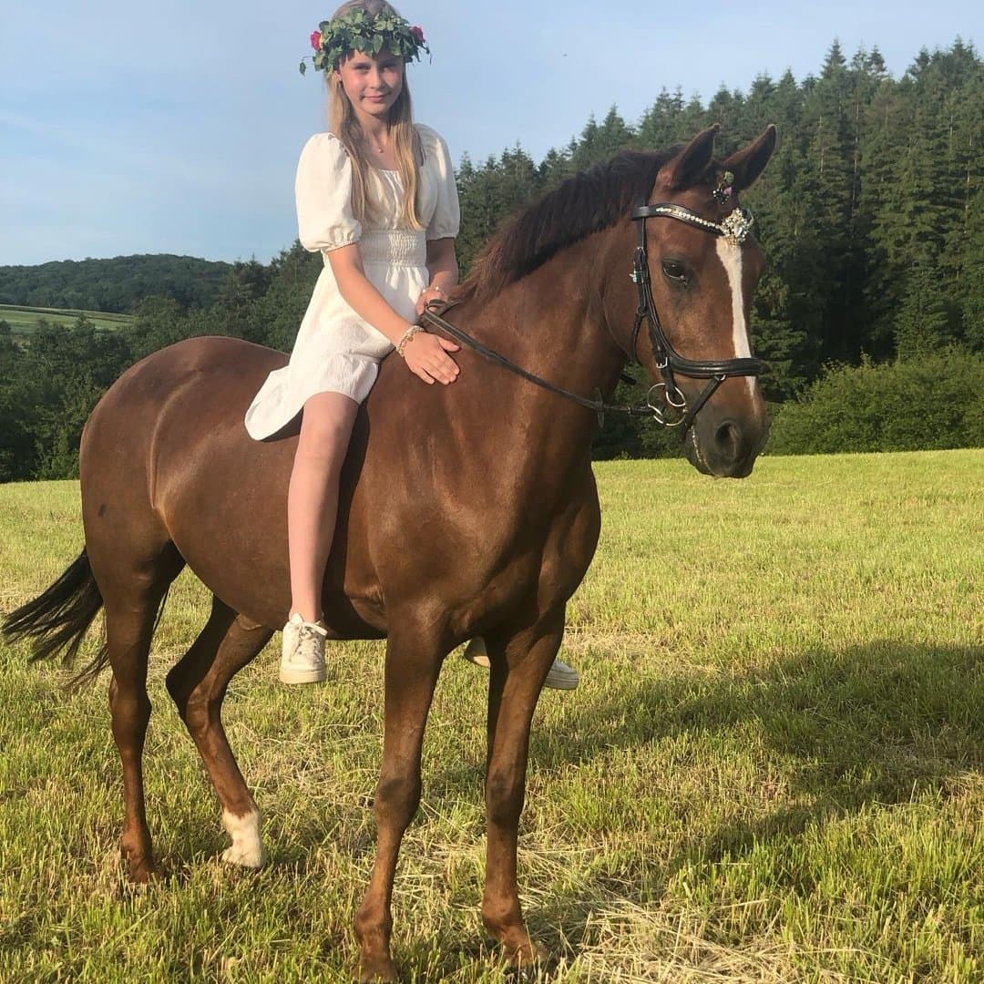 Bild 1 av Jolly Jumper