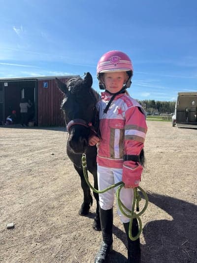 Ponnytrav 