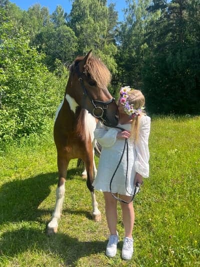 Inlägg 128 av Allround med titeln Midsommar 