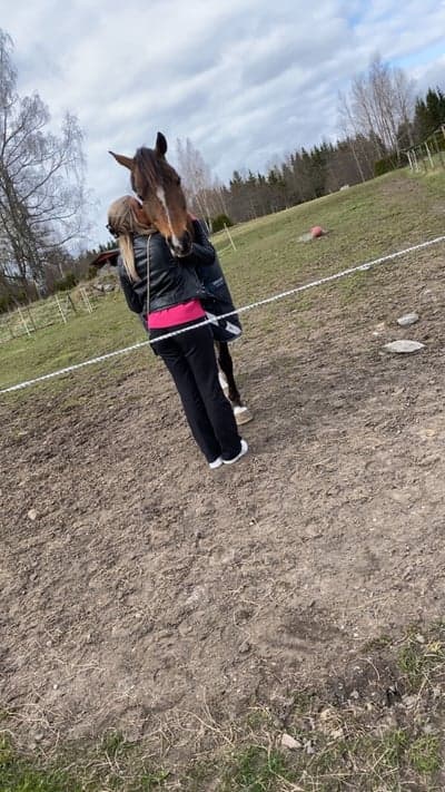 Inlägg 28 av Allround med titeln Bojan 💕