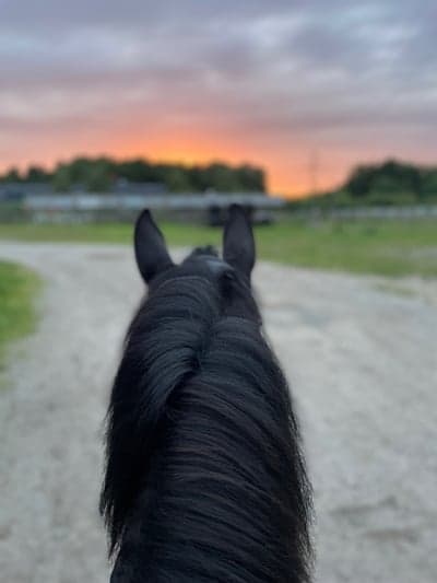 Inlägg 38 av Allround