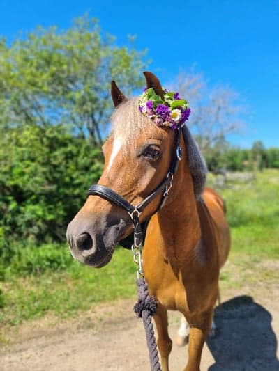 Inlägg 21 av Allround