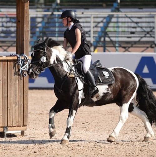 Profilbild av kiki GAMER