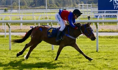 Inlägg 18 av Gotlandsruss med titeln Ponnygalopp