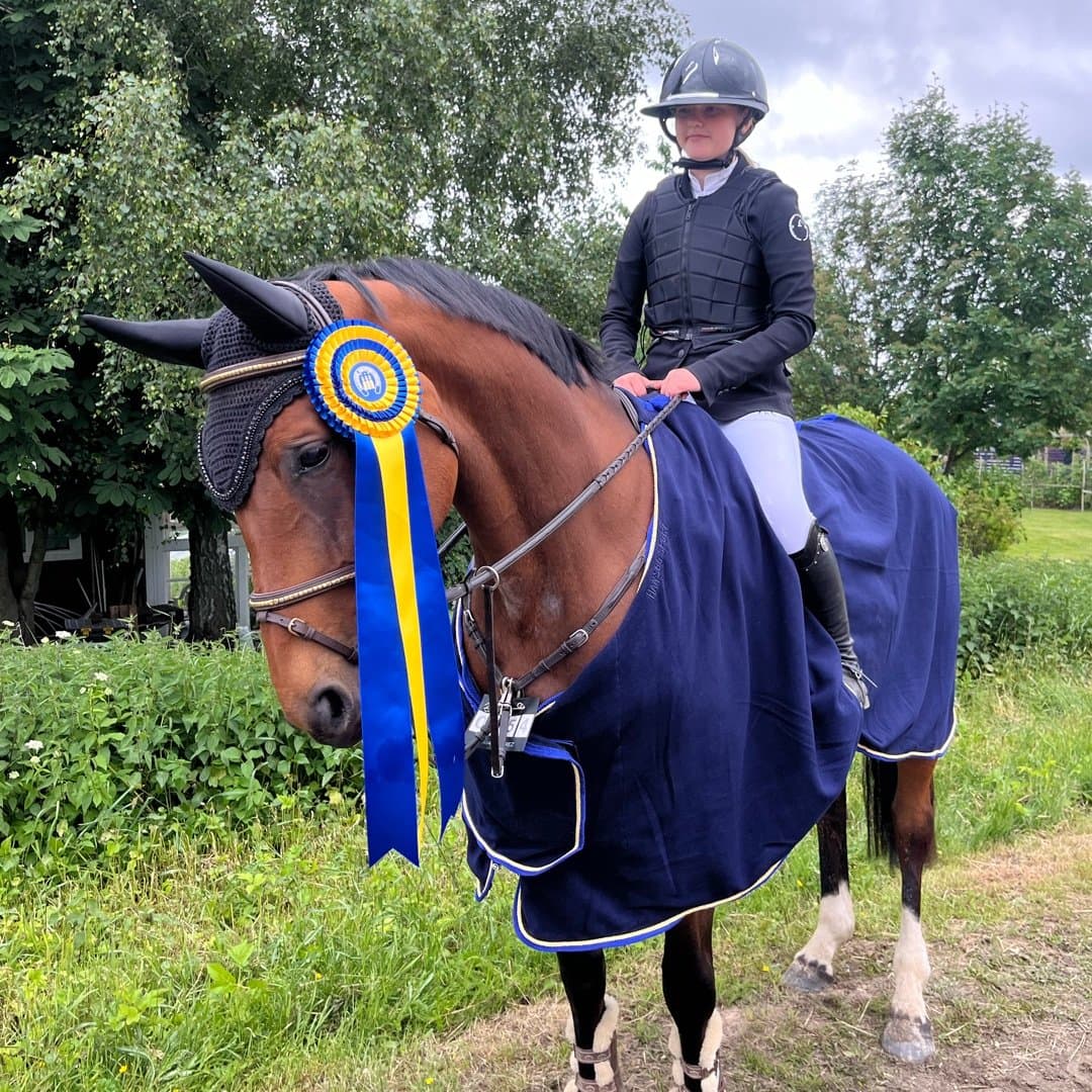 Bild 1 av Diplomatic's Leonora