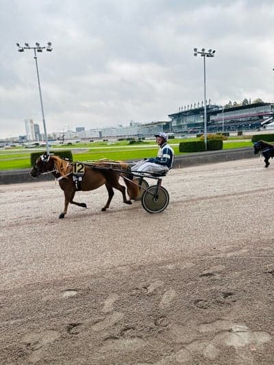 Inlägg 59 av Trav med titeln Kriteriet
