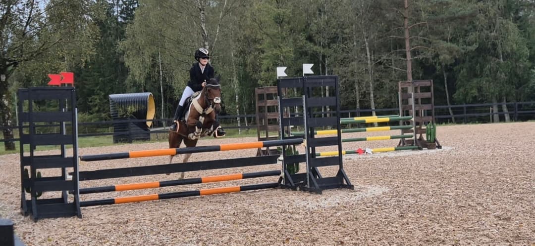 Bild 1 av Hopp ponny med power