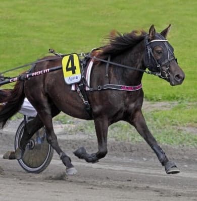 Media 1 av Chilla Gunilla