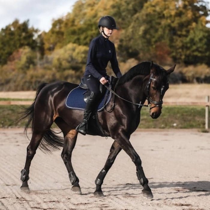 Media 1 av Marielunds Fair Lady