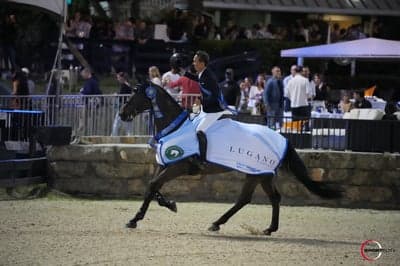 Inlägg 4 av Hoppning med titeln Seger i Wellington 5* GP  🇺🇸