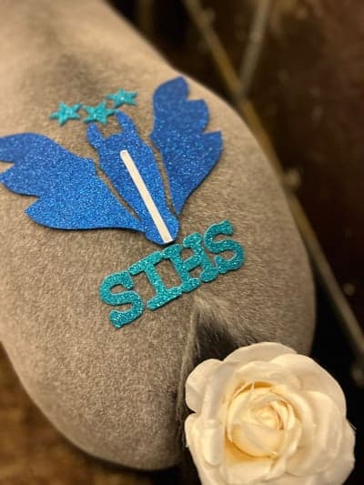 Inlägg 8 av Galopp med titeln Delux är nu pyntad och klar inför steeple