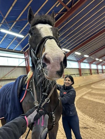 Post 22 of Hanoverian with title ☀️