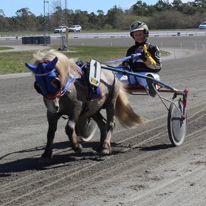 Media 1 av Sörbyskogens Maui