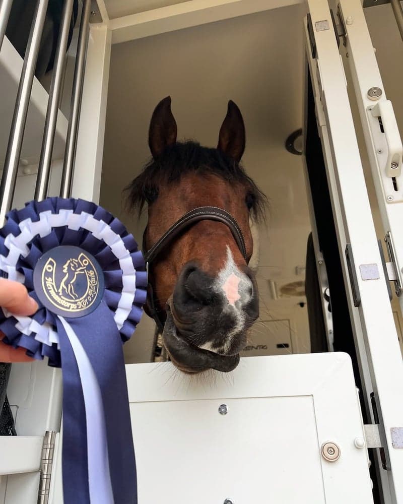 Bild 3 av Ocean's Dream HX