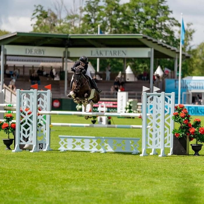 Media 2 av Miskaun Harvey