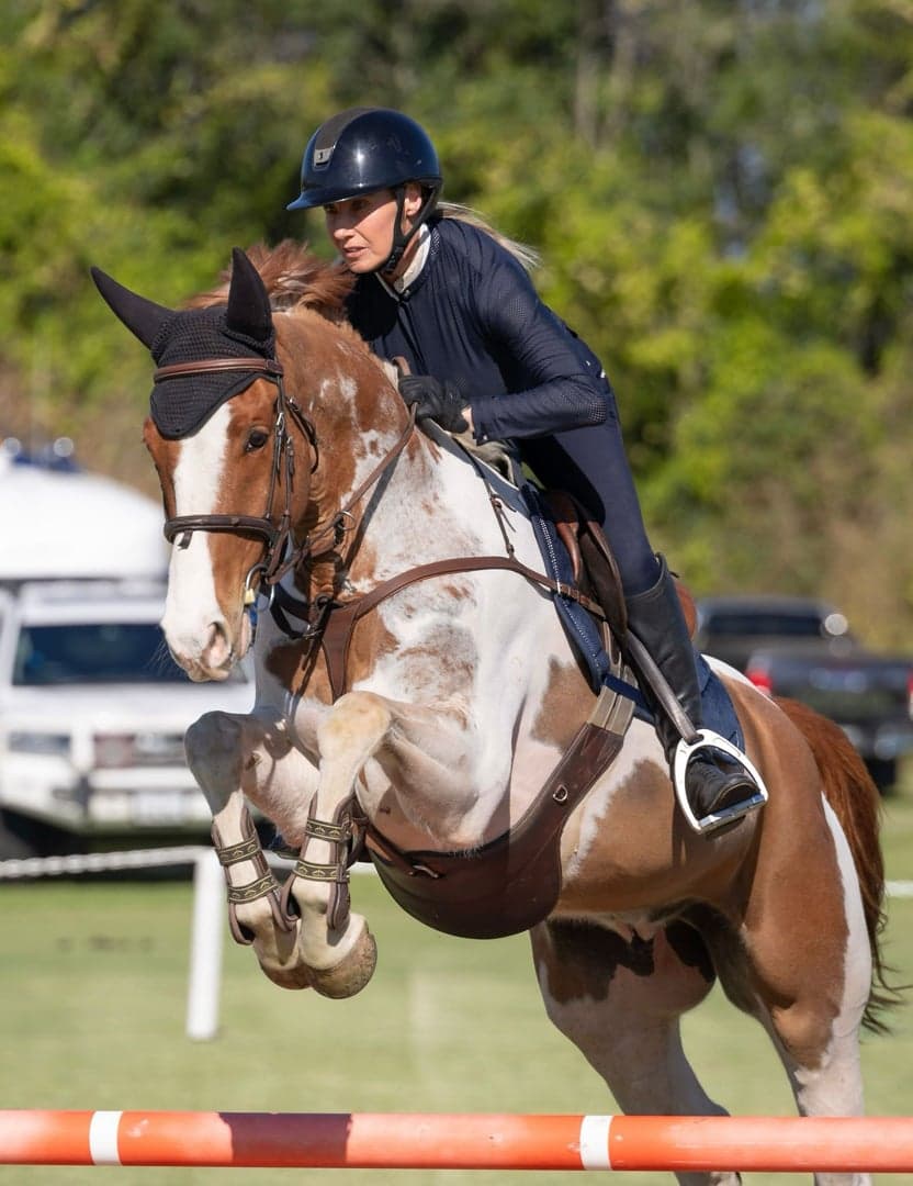 Bild 1 av Talented well breed Jumper