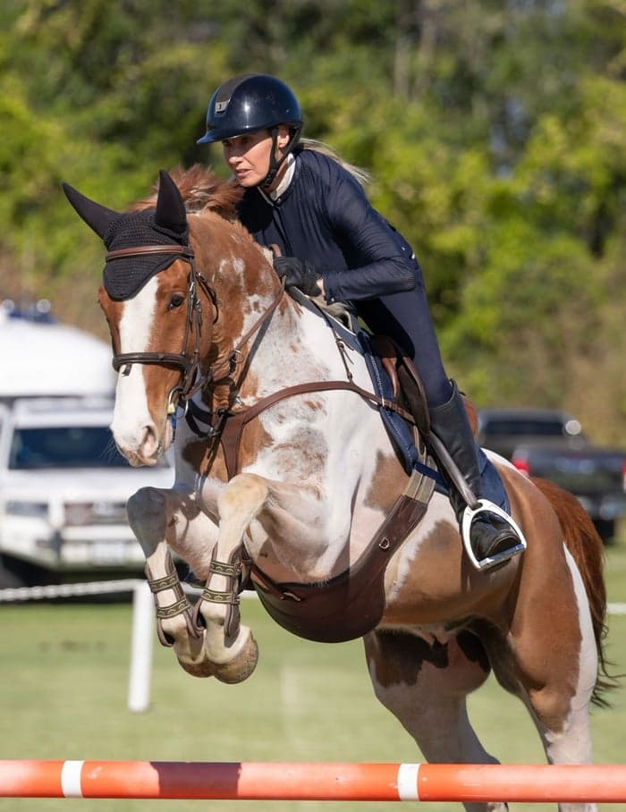 Media 1 av Talented well breed Jumper