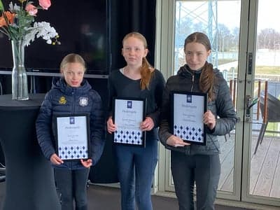 Årets 2024
