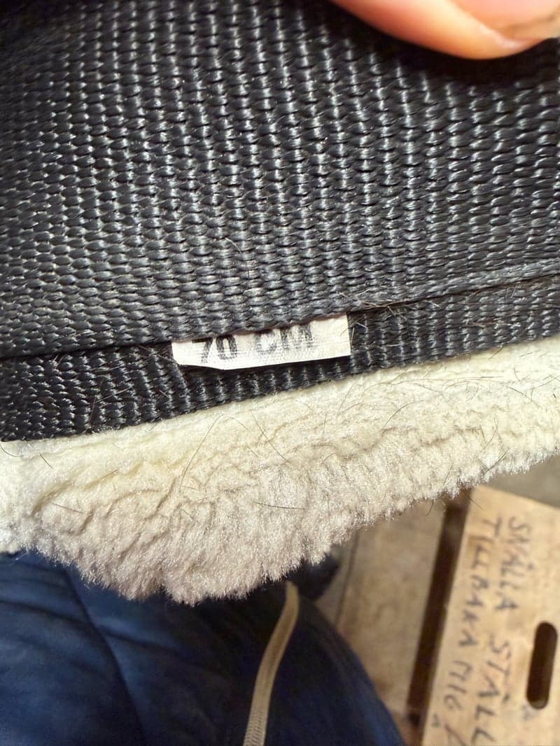 Bild 3 av Svart dressyrgjord från Fairfield