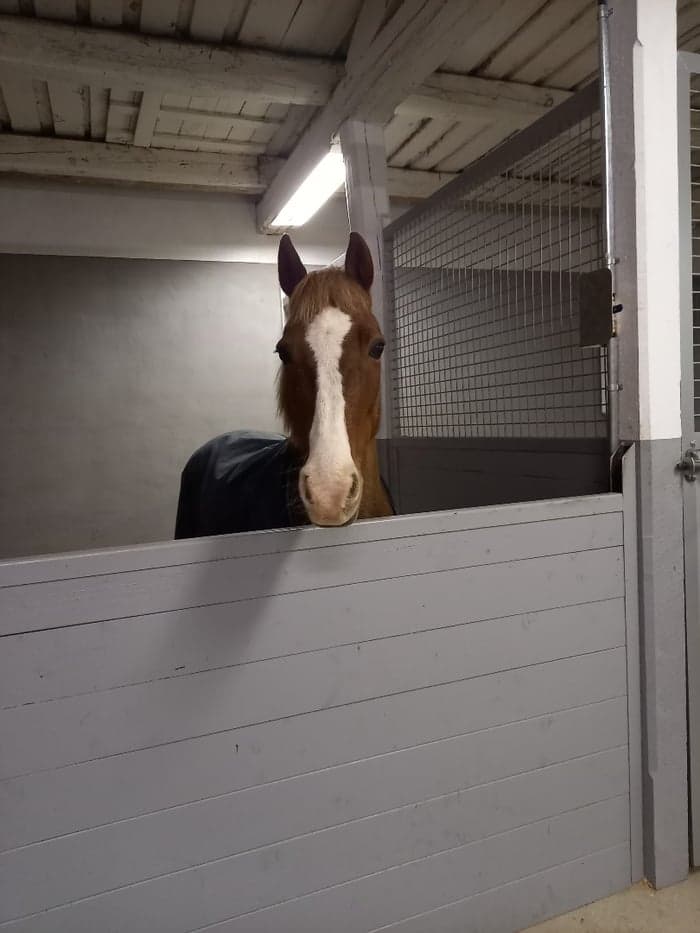 Media 1 av Phoenix boy