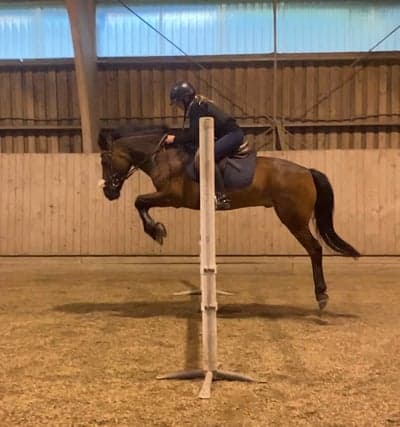 Inlägg 119 av Allround med titeln Så duktig ❤️❤️