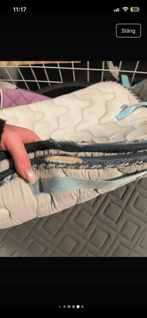 Media 1 of Vitt schabrak