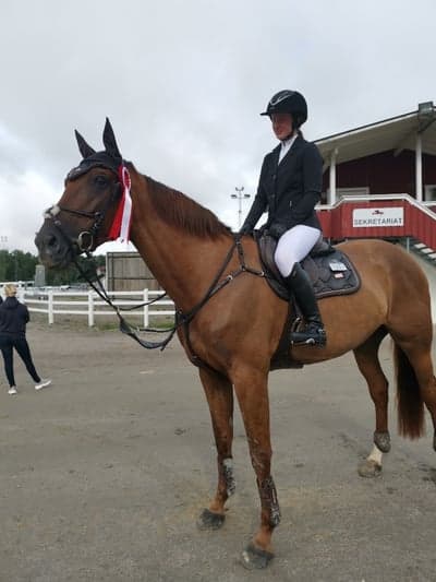 Inlägg 300 av Hoppning med titeln Felfritt Sundbyholm Summer Games