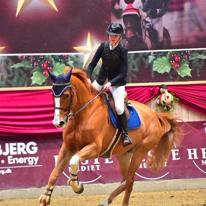 Media 1 av Lykkehøjs Lancelott