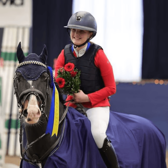 Älskar du också Welsh cob? ❤️ 