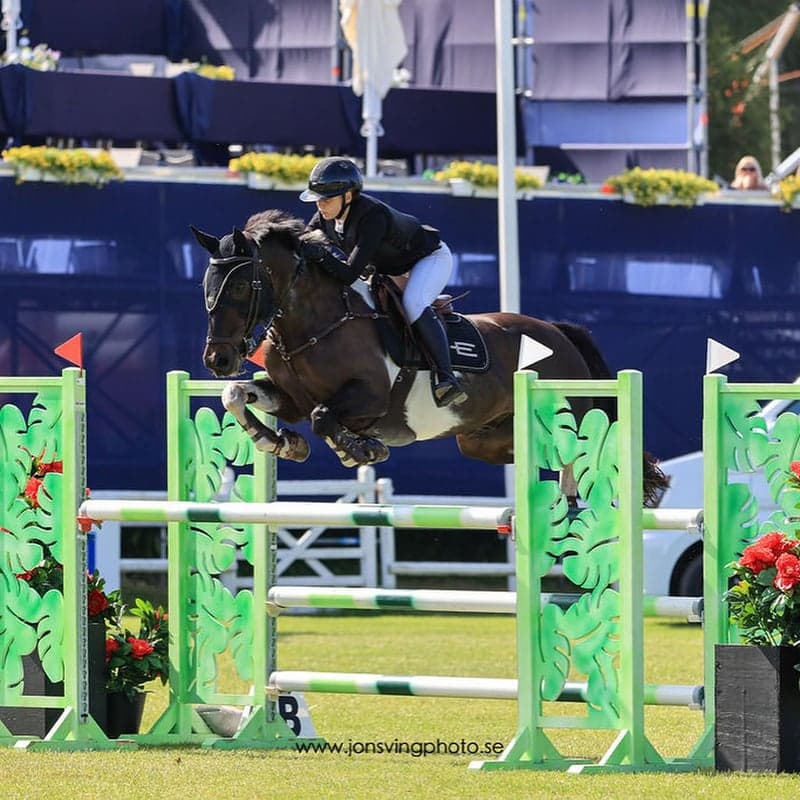 Bild 3 av Miskaun Harvey