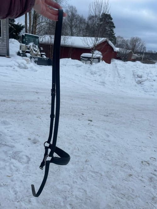 Bild av Remontnosgrimma 