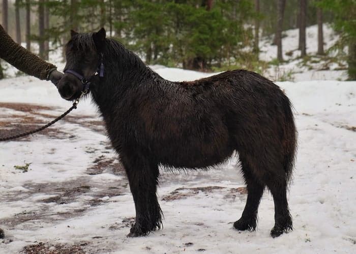 Media 4 av Furunäs Design