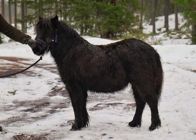 Bild 4 av Furunäs Design