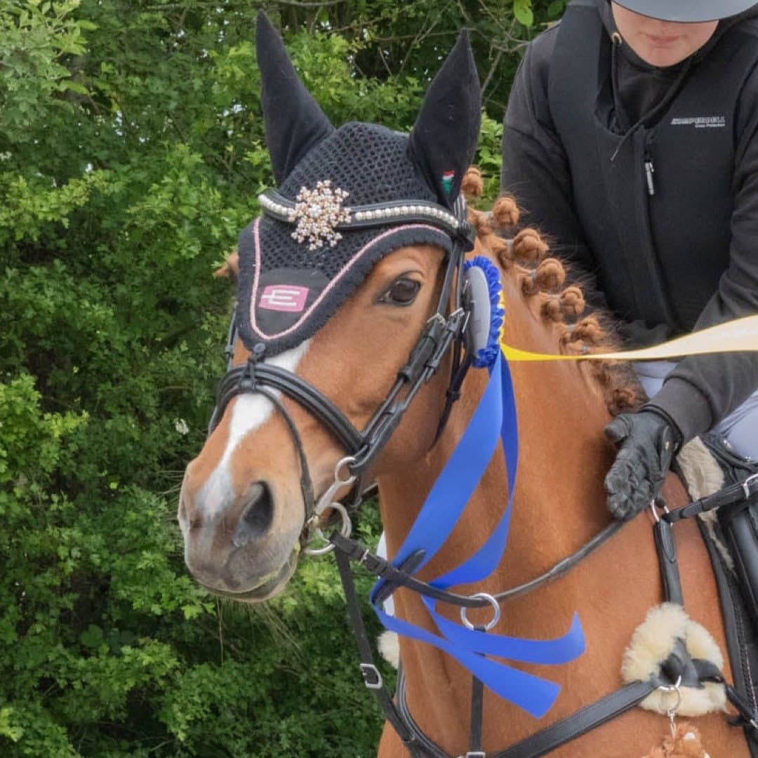 Bild 1 av Bogis new deeam