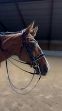 Profilbild av Brioliv