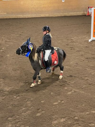 Inlägg 145 av Hoppning