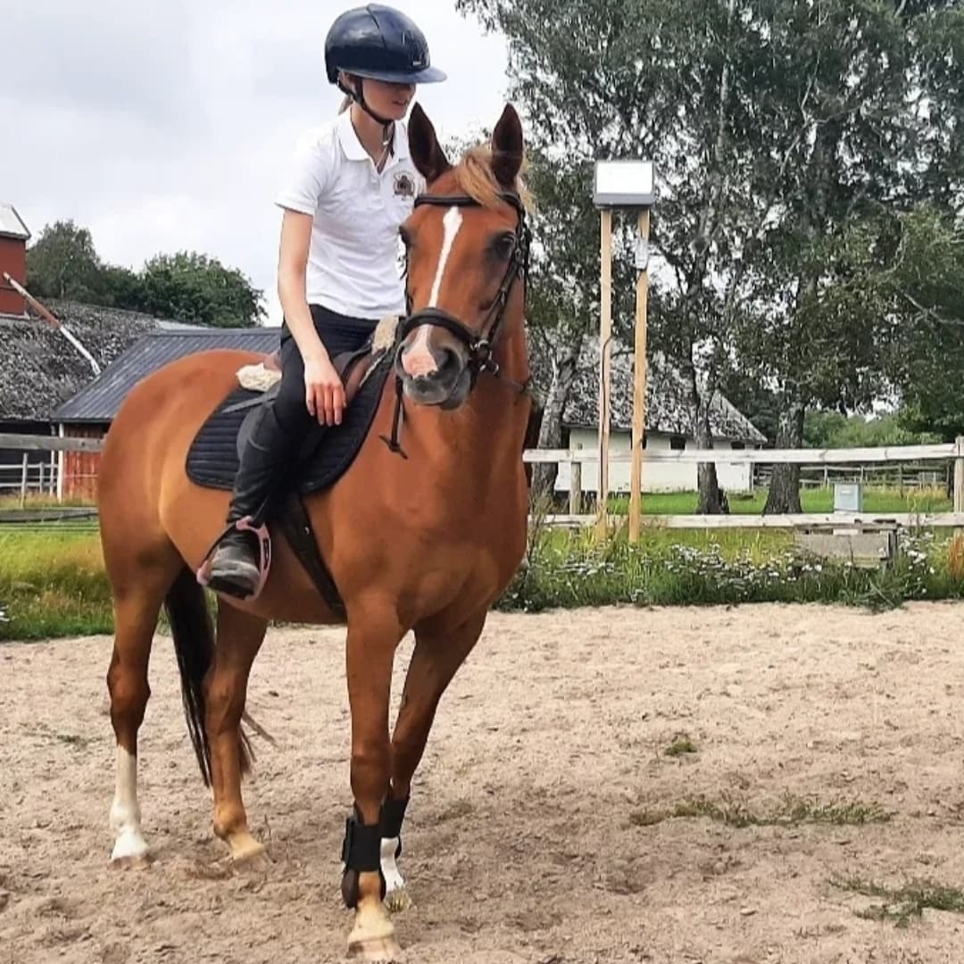 Bild 1 av Grace Kelly