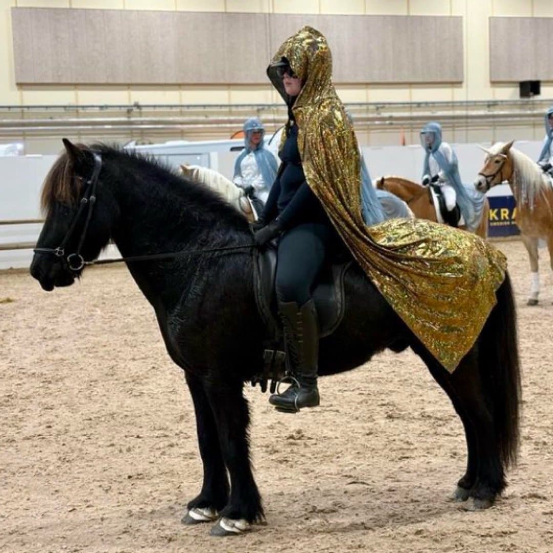 Image 1 of Sindri från Rödmossen