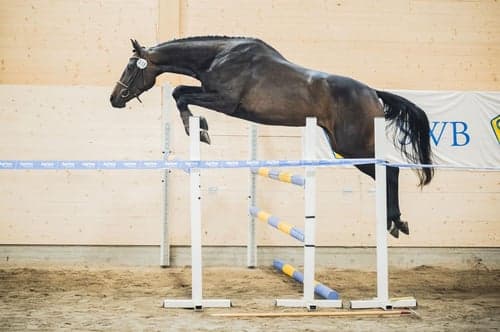 Bild av Häftig 3-åring