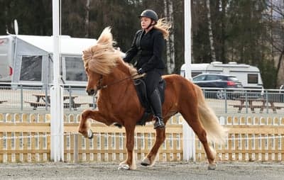 Inlägg 45 av Allround med titeln Mjøsmot 2024🚀⭐️🔥