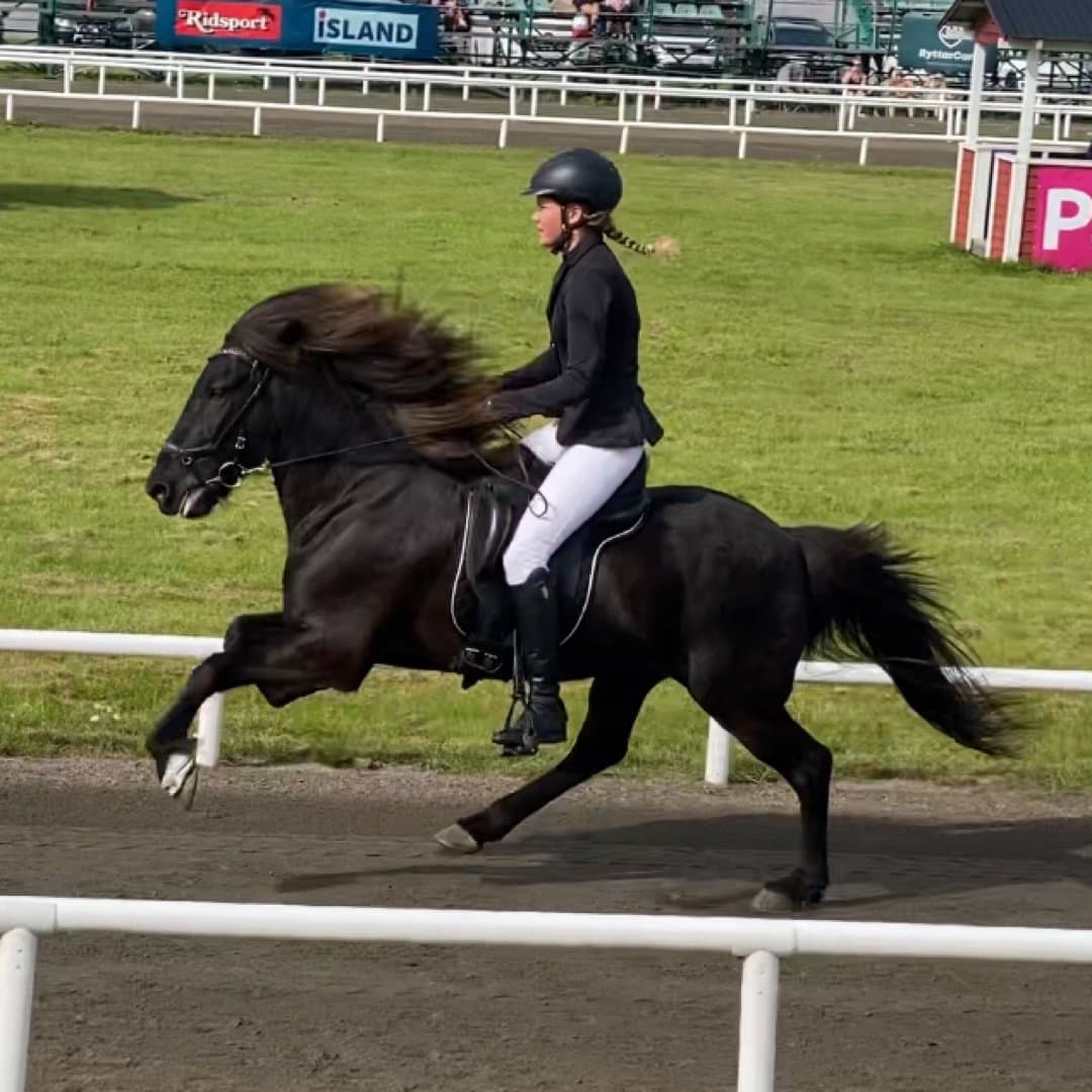 Bild 1 av Fursti från Råknahult