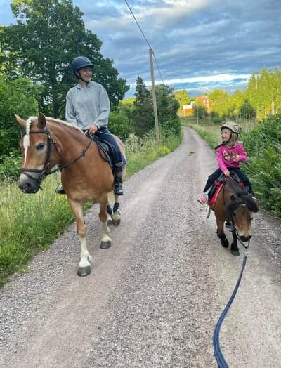 Inlägg 71 av Allround