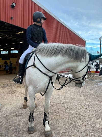 Inlägg 13 av Lipizzaner med titeln Saga och Zara på tävling 4 februari 💗💗