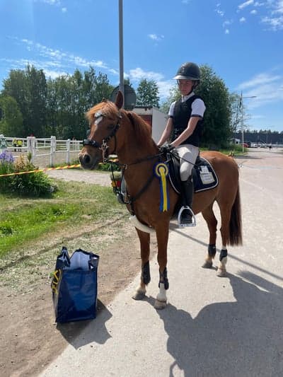 Inlägg 71 av Hoppning