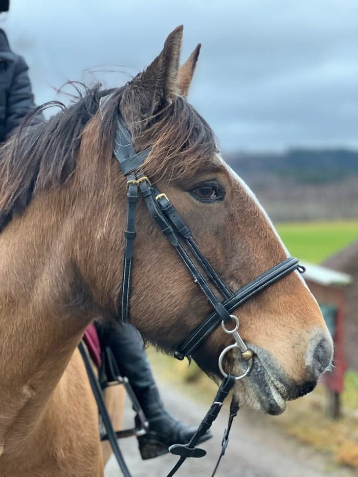 Media 10 of Miramiss