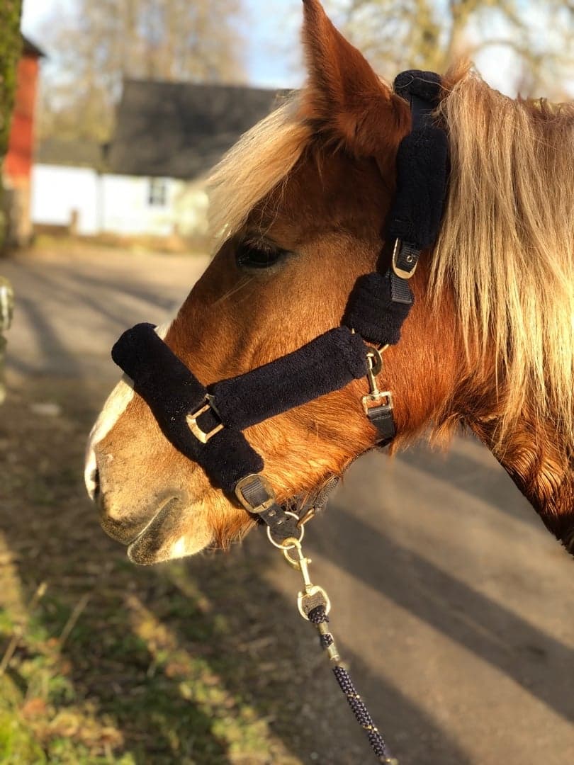 Bild 1 av Sysster lyster