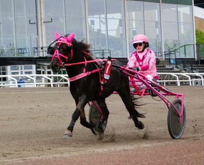Uppfödning 