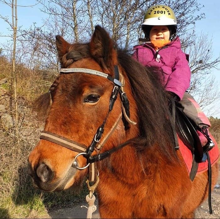 Media 1 of Gullsmyras Böna