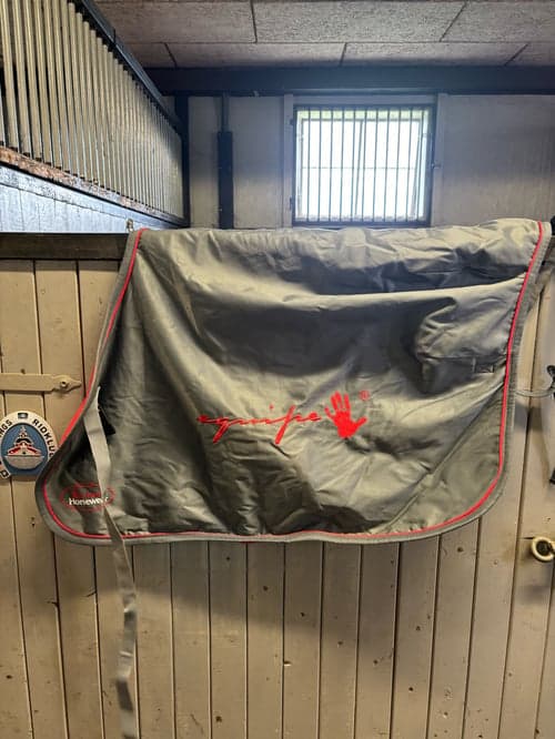 Bild av Grått ländtäcke från Equipe