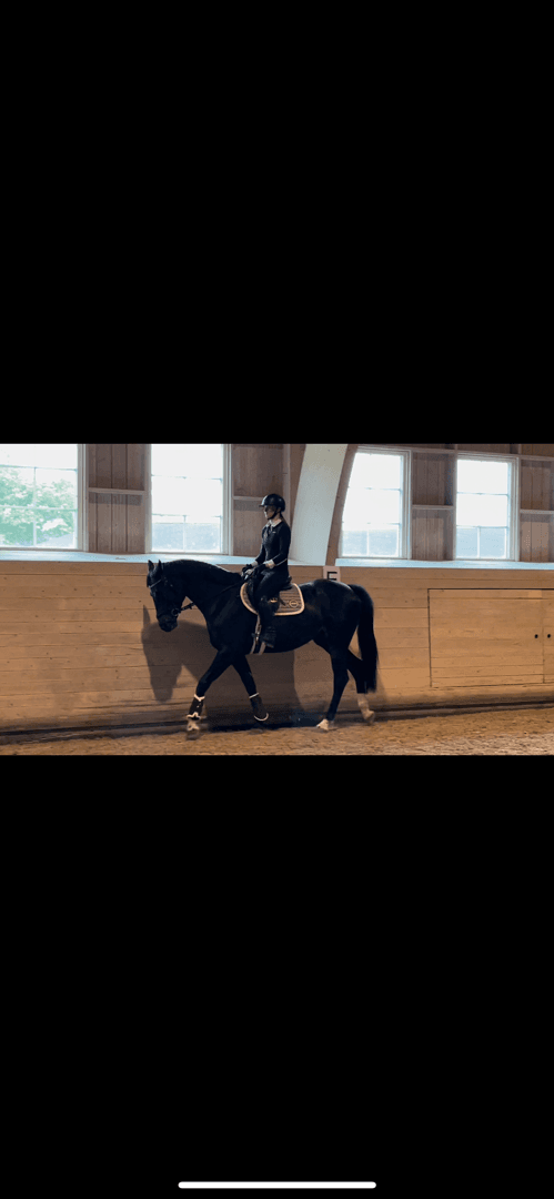 Media 1 av Chiara Gold